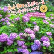 ヒメ日記 2025/06/13 10:07 投稿 千明(ちあき) 高知デリヘル倶楽部 人妻熟女専門店