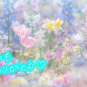 ヒメ日記 2025/07/26 16:28 投稿 千明(ちあき) 高知デリヘル倶楽部 人妻熟女専門店