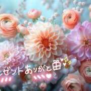 ヒメ日記 2025/07/28 17:55 投稿 千明(ちあき) 高知デリヘル倶楽部 人妻熟女専門店