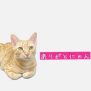 ヒメ日記 2024/04/19 13:02 投稿 めい 進撃の妻