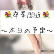 ヒメ日記 2025/11/30 11:02 投稿 めい 進撃の妻