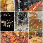 ヒメ日記 2024/12/29 07:44 投稿 愛咲 東京人妻フォーシーズンズ