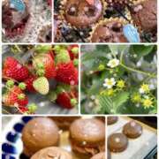 ヒメ日記 2025/02/16 12:24 投稿 愛咲 東京人妻フォーシーズンズ