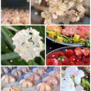 ヒメ日記 2025/03/26 17:24 投稿 愛咲 東京人妻フォーシーズンズ