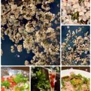 ヒメ日記 2025/04/11 03:14 投稿 愛咲 東京人妻フォーシーズンズ