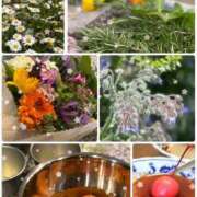 ヒメ日記 2025/04/29 00:34 投稿 愛咲 東京人妻フォーシーズンズ