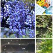 ヒメ日記 2025/05/03 19:44 投稿 愛咲 東京人妻フォーシーズンズ