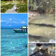 ヒメ日記 2025/08/13 18:44 投稿 愛咲 東京人妻フォーシーズンズ