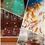 ヒメ日記 2025/09/24 21:44 投稿 愛咲 東京人妻フォーシーズンズ