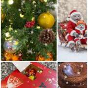 ヒメ日記 2025/12/23 19:14 投稿 愛咲 東京人妻フォーシーズンズ