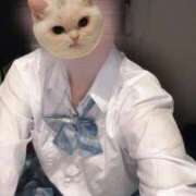 ヒメ日記 2025/12/13 20:30 投稿 とわ ビデオdeはんど すすきの校