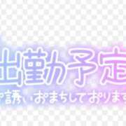 ヒメ日記 2024/11/25 20:16 投稿 れな 人妻美人館