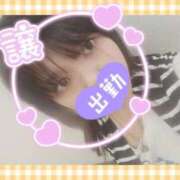 ヒメ日記 2026/03/20 11:57 投稿 ゆずれもん 日本橋・谷九サンキュー