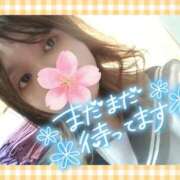 ヒメ日記 2026/03/20 12:57 投稿 ゆずれもん 日本橋・谷九サンキュー