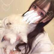 ヒメ日記 2025/06/29 09:14 投稿 えれな『プレミアキャスト』 CANDY