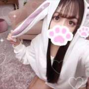 ヒメ日記 2025/11/20 09:24 投稿 えれな『プレミアキャスト』 CANDY