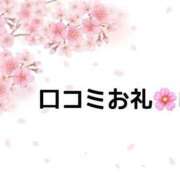 ヒメ日記 2025/04/07 12:21 投稿 さくらこ マリン宇都宮店