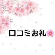 ヒメ日記 2025/04/12 17:06 投稿 さくらこ マリン宇都宮店