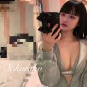 ヒメ日記 2025/04/17 18:16 投稿 さくらこ マリン宇都宮店