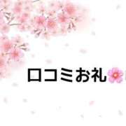 ヒメ日記 2025/04/28 14:06 投稿 さくらこ マリン宇都宮店