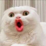 ヒメ日記 2025/01/15 13:16 投稿 とわ 熟女の風俗最終章 蒲田店