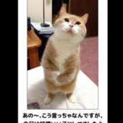 ヒメ日記 2025/02/04 13:18 投稿 とわ 熟女の風俗最終章 蒲田店