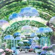 ヒメ日記 2025/06/17 19:57 投稿 とわ 熟女の風俗最終章 蒲田店