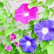 ヒメ日記 2025/06/22 12:18 投稿 とわ 熟女の風俗最終章 蒲田店