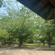 ヒメ日記 2025/07/08 19:33 投稿 とわ 熟女の風俗最終章 蒲田店