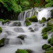 ヒメ日記 2025/07/11 21:30 投稿 とわ 熟女の風俗最終章 蒲田店