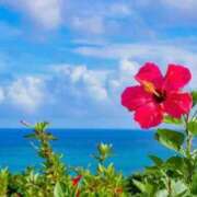 ヒメ日記 2025/08/24 10:10 投稿 とわ 熟女の風俗最終章 蒲田店