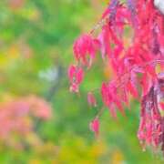 ヒメ日記 2025/09/02 19:30 投稿 とわ 熟女の風俗最終章 蒲田店