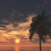 ヒメ日記 2025/09/07 16:34 投稿 とわ 熟女の風俗最終章 蒲田店