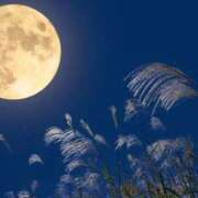 ヒメ日記 2025/09/23 19:50 投稿 とわ 熟女の風俗最終章 蒲田店