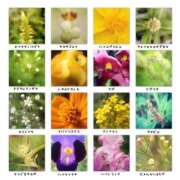 ヒメ日記 2025/09/26 20:22 投稿 とわ 熟女の風俗最終章 蒲田店