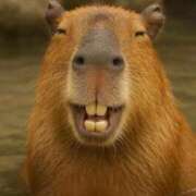 ヒメ日記 2025/10/28 20:20 投稿 とわ 熟女の風俗最終章 蒲田店