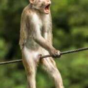 ヒメ日記 2025/10/29 20:25 投稿 とわ 熟女の風俗最終章 蒲田店