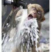 ヒメ日記 2025/10/30 20:32 投稿 とわ 熟女の風俗最終章 蒲田店