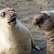 ヒメ日記 2025/10/31 19:20 投稿 とわ 熟女の風俗最終章 蒲田店