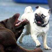 ヒメ日記 2025/11/01 16:32 投稿 とわ 熟女の風俗最終章 蒲田店