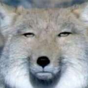 ヒメ日記 2025/11/02 16:40 投稿 とわ 熟女の風俗最終章 蒲田店