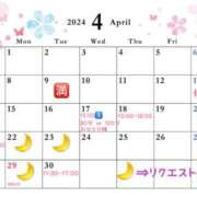 ヒメ日記 2024/04/14 18:50 投稿 優月-ゆづき- フォーシーズン