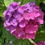 ヒメ日記 2025/07/09 11:48 投稿 優月-ゆづき- フォーシーズン