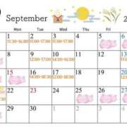 ヒメ日記 2025/08/30 07:08 投稿 優月-ゆづき- フォーシーズン