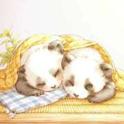 ヒメ日記 2026/03/18 20:58 投稿 優月-ゆづき- フォーシーズン