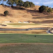 ヒメ日記 2025/02/15 20:12 投稿 しらゆり 奥鉄オクテツ兵庫