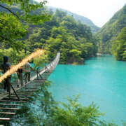 ヒメ日記 2025/03/30 19:11 投稿 しらゆり 奥鉄オクテツ兵庫