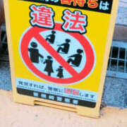 ヒメ日記 2025/04/06 16:52 投稿 しらゆり 奥鉄オクテツ兵庫