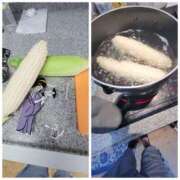 ヒメ日記 2025/07/10 06:33 投稿 しらゆり 奥鉄オクテツ兵庫