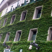 ヒメ日記 2025/08/08 07:40 投稿 しらゆり 奥鉄オクテツ兵庫